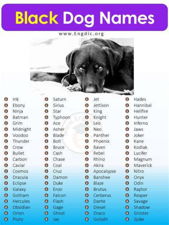 Black Dog Names | Nameberry