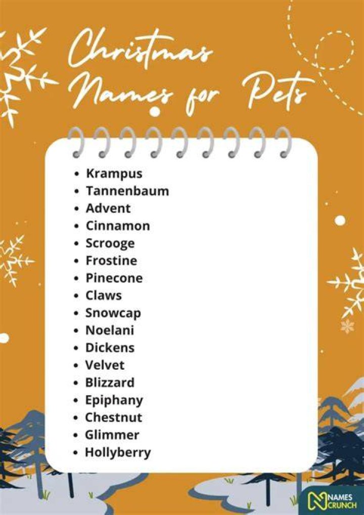 Christmas Names for Pets | Nameberry