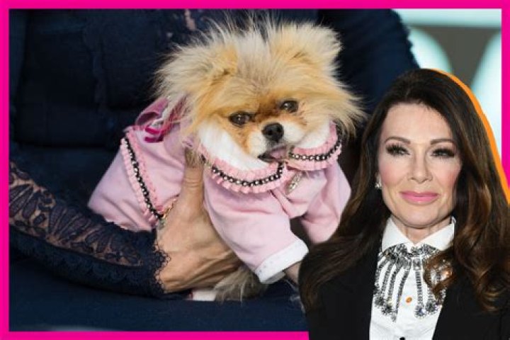Lisa Vanderpump and her dog Donut Lisa Vanderpump and her dog Donut